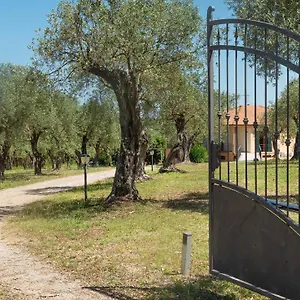 italianway-bb-olivar.hotelsalgherosardinia.com/